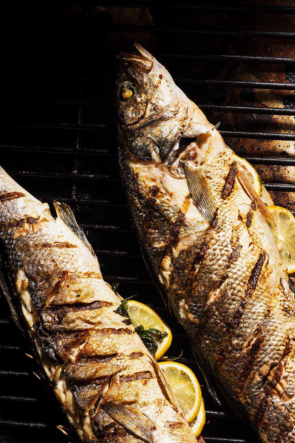 Two stuffed branzino on a grill.