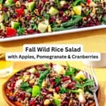 Wild rice salad pin image 1.