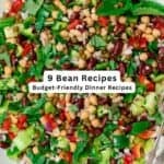 Healthy bean recipes pin image 2.