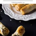 Phyllo dough meat and feta rolls pin image 1.