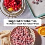 Sugared Cranberries pin image 3.