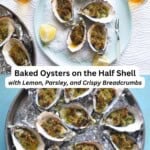 Baked oysters pin image 3.